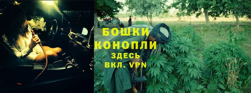 блэк спрут ссылки  Инза  Канабис VHQ 